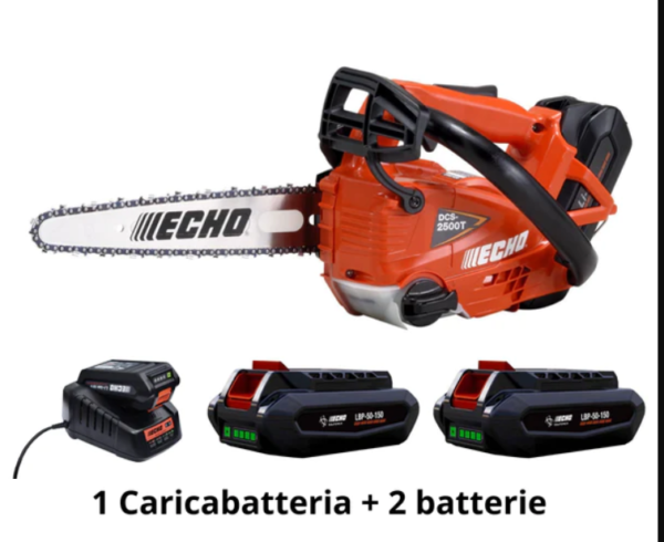 ECHO DCS 2500 T + 2 BATTERIE E CARICABATTERIE