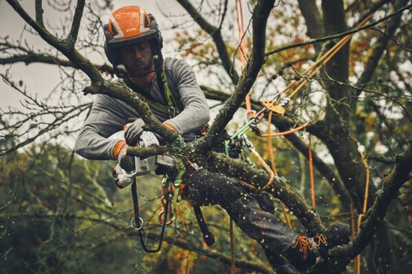 POTATORE STIHL PROFESSIONALE GTA 40 - immagine 3